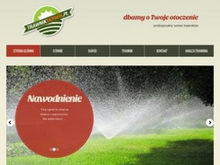 Podgląd trawnikserwis.pl
