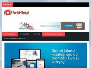 Podgląd portal-seo.pl