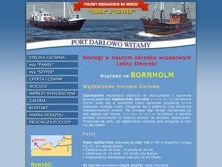 Podgląd wedkarstwodarlowo.pl
