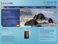 Podgląd robalex.com.pl