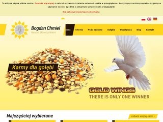 Podgląd slonecznik.com.pl