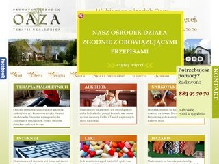 Podgląd terapie-uzaleznien.com.pl
