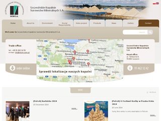 Podgląd sksm.com.pl