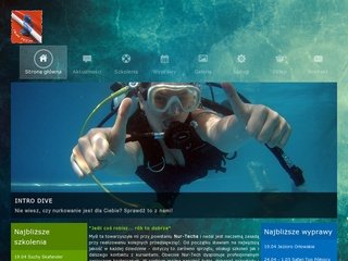 Podgląd nurtech.pl