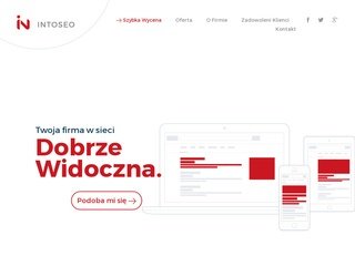 Podgląd intoseo.pl