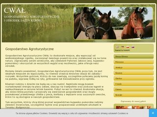 Podgląd agro-konie.pl
