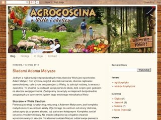 Podgląd blog.agrogoscina.pl