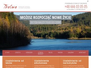 Podgląd leczenieuzaleznien.com