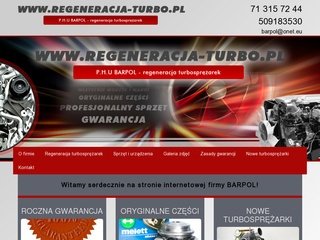 Podgląd regeneracja-turbo.pl