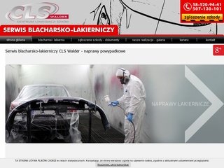 Podgląd cls-walder.pl