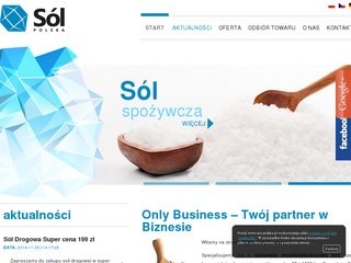 Podgląd sol-polska.pl