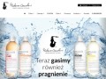 Podgląd warszawskidzien.com