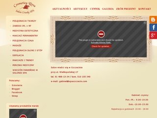 Podgląd spaszczecin.com
