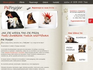 Podgląd fryzjerpieskow.pl