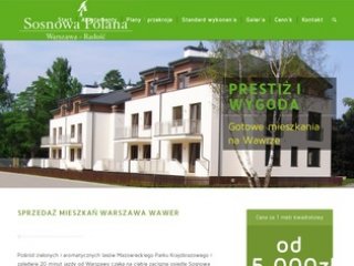 Podgląd sosnowa-polana.pl
