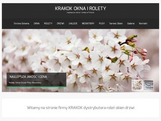 Podgląd krakok.pl