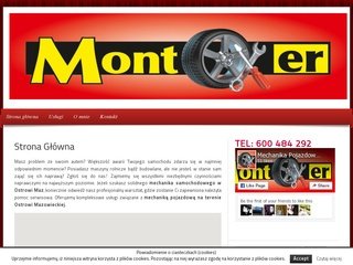 Podgląd monter.waw.pl