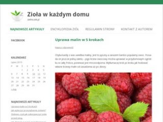 Podgląd zielniczek.pl
