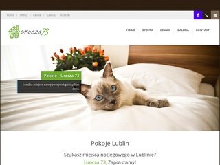 Podgląd pokoje.lublin.pl
