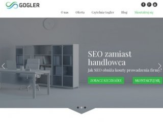 Podgląd gogler.pl