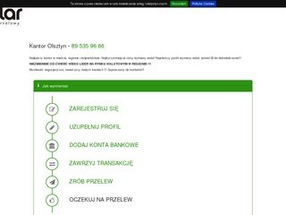 Podgląd https://www.e-dolar.pl