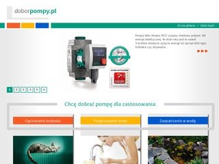 Podgląd doborpompy.pl