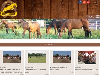 Miniaturka bryllandia.pl
