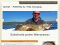 Podgląd cywil.pl