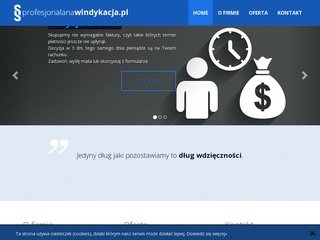 Miniaturka profesjonalnawindykacja.pl