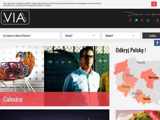 Podgląd viacitymap.pl