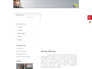 Podgląd gut-bud.pl