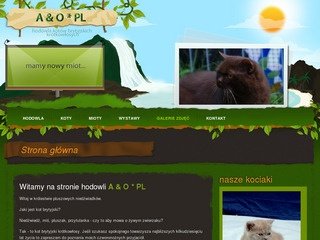 Podgląd britcats.pl