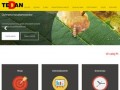 Podgląd tedan.com.pl