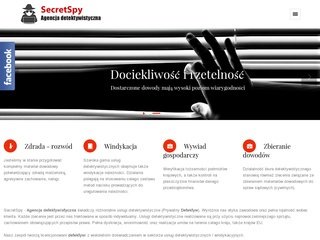 Podgląd secretspy.pl