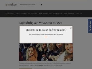 Podgląd sportfejm.pl