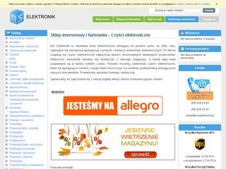 Podgląd mselektronik.pl