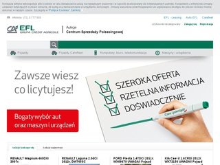Podgląd https://aukcje.efl.com.pl