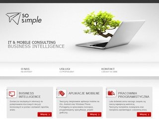 Podgląd sosimple.pl