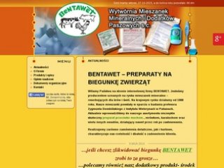Podgląd bentawet.pl