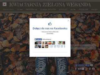 Podgląd kwiaciarniazielonaweranda.com