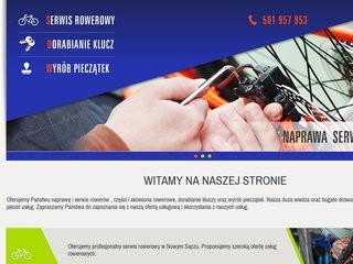 Podgląd serwis-ns.eu