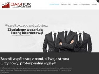 Miniaturka webdamtox.pl