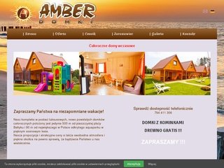 Podgląd amberdomki.com