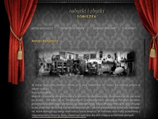 Podgląd antykibydgoszcz.com