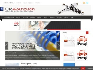 Podgląd autoamortyzatory.com