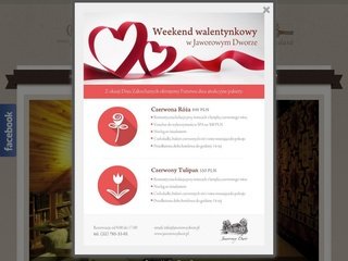 Podgląd jaworowydwor.pl
