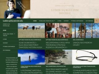 Podgląd disc.com.pl