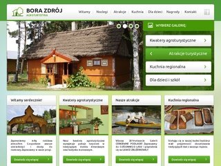 Podgląd bialowieza-borazdroj.pl
