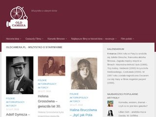 Podgląd oldcamera.pl
