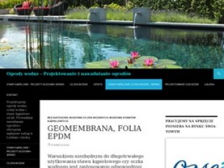 Podgląd ogrody-wodne.pl